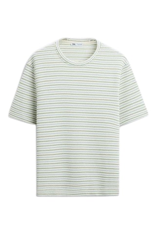 T-shirt - Vert clair et écru
