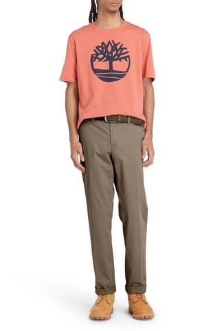 Chino straight Claremont - Marron