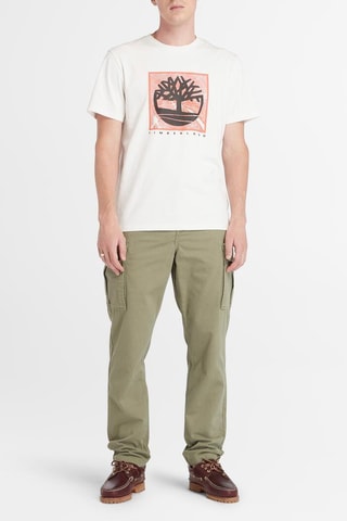 Pantalon cargo Brookline - Gris