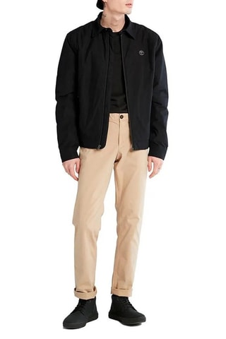 Chino - Beige