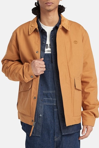 Veste Strafford Insulated Camel