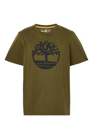 T-shirt Kennebec River - Vert olive