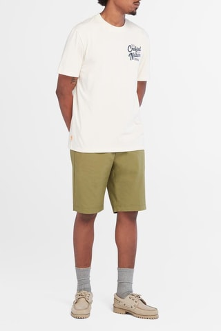 Short Squam - Vert