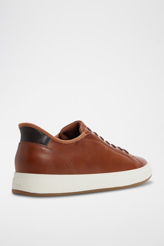 Baskets Scottie - Camel