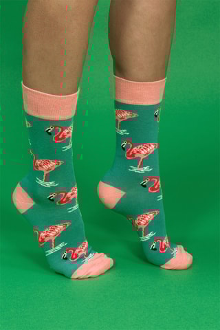 2 pares de meias - Verde
