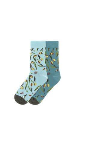 2 pares de meias - Azul