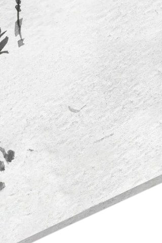 Tableau en verre trempé Bird