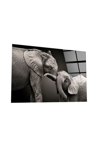 Tableau en verre trempé Elephants 