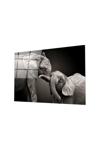 Tableau en verre trempé Elephants 