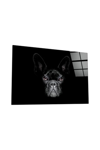 Tableau en verre trempé Dog 