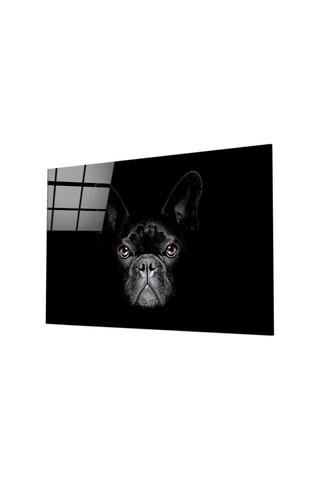 Tableau en verre trempé Dog 