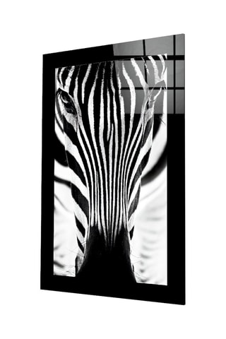 Tableau en verre trempé Zebra 