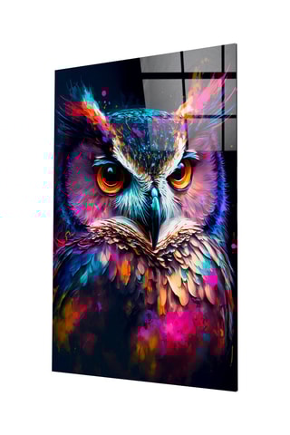 Tableau en verre trempé Owl's Eye 