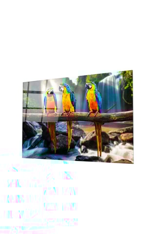 Tableau en verre trempé 3 perroquets