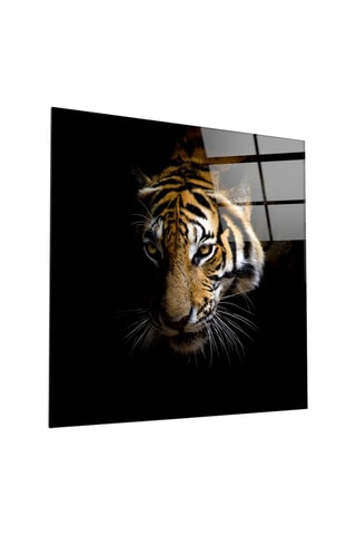 Tableau en verre trempé Tiger 