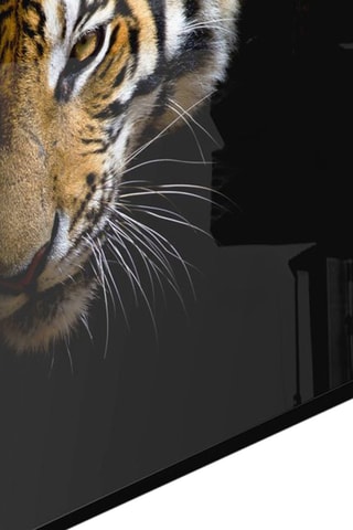 Tableau en verre trempé Tiger 