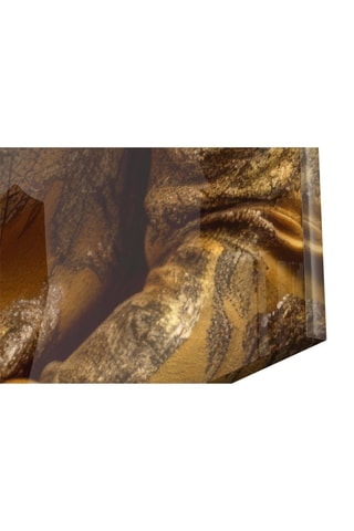 Tableau en verre trempé Lion Vogue