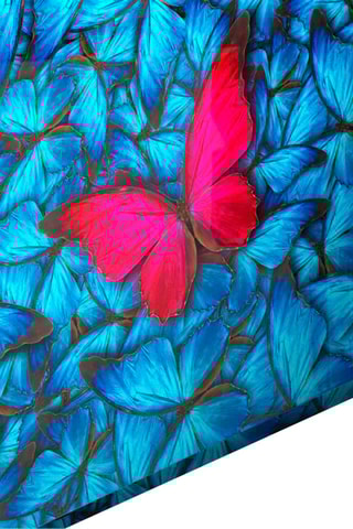 Tableau en verre trempé Papillons