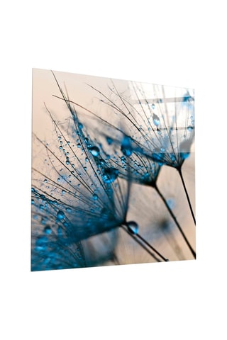 Tableau en verre trempé Fleurs