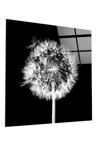 Tableau en verre trempé Pissenlit