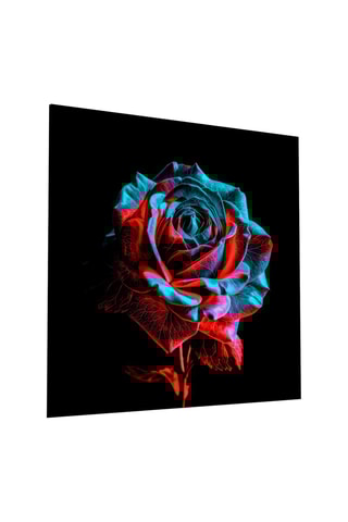 Tableau en verre trempé Rose