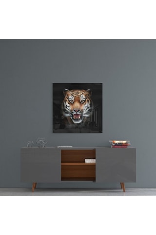 Tableau Tiger