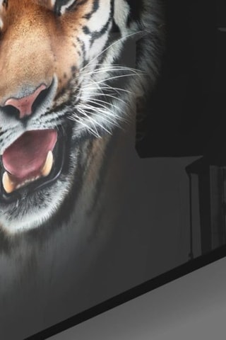 Tableau Tiger