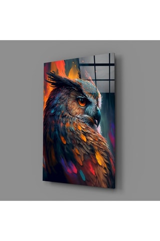 Tableau Owl's Eye