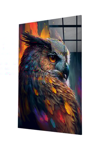 Tableau Owl's Eye