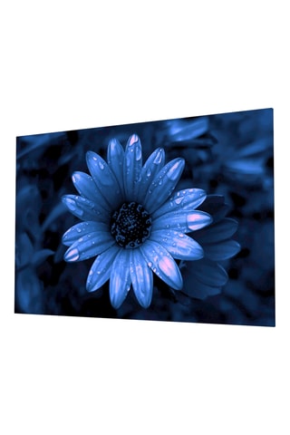 Tableau en verre trempé Flower