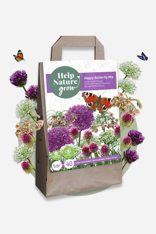 40 Happy Butterfly Altura entregue 30 cm