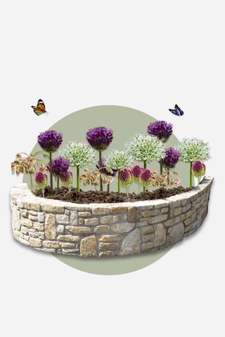 40 Happy Butterfly Altura entregue 30 cm