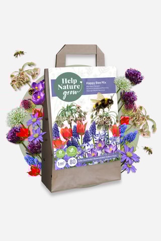 80 bolbos Happy Bee Altura entregue 30 cm