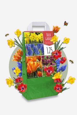 125 bolbos Garden Colourful Altura entregue 15 cm