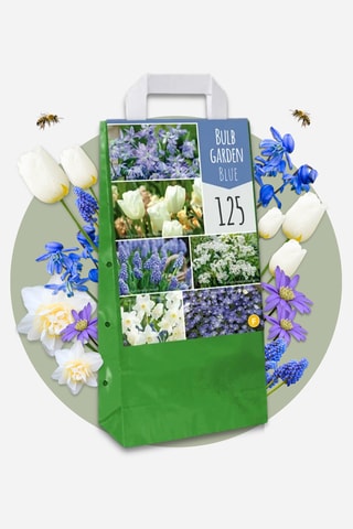 125 Bulbos Garden Blue Altura entregue 15 cm