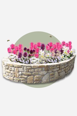 125 Bulbos Garden Pink Altura entregue 15 cm