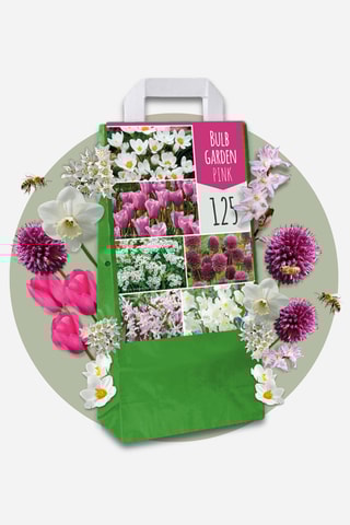 125 Bulbos Garden Pink Altura entregue 15 cm