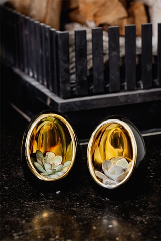 2 Echeverias em ovo decorativo preto e dourado - Altura entregue 12 cm