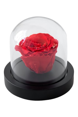 Rosa preservada em vidro - Altura entregue 10 cm