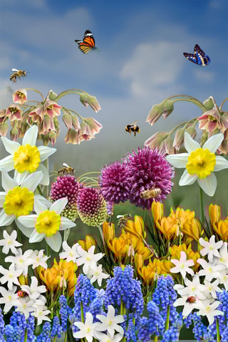 50 flores para insetos