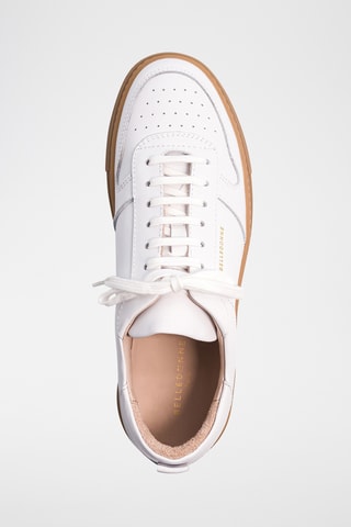 Leren Sneakers - Wit