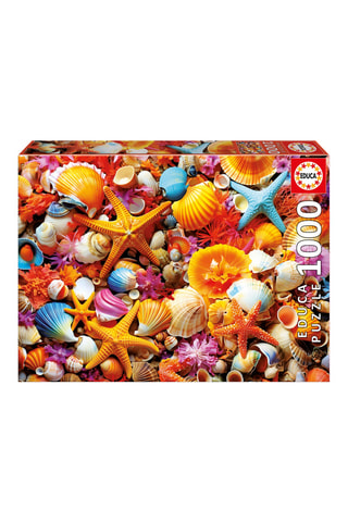 Puzzle Collage de coquillages - 1000 pièces
