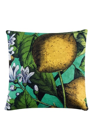 Coussin Boboli - Vert - 45 x 45 cm