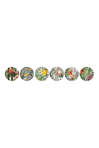 6 assiettes en porcelaine Tropical - 31 cm