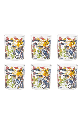 6 verres Afrika - 25 cl