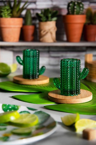 4 verres à liqueur Cactus - 5 cl