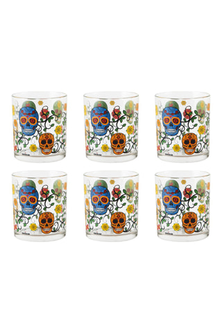 6 verres Calavera - 25 cl