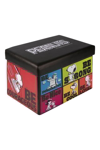 Boîte de rangement Peanuts Be