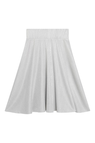 Rok - Zilverkleurig - DKNY