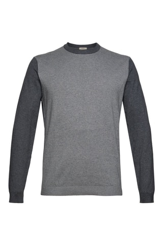 Camisola em algodão biológico e lã Cinzento